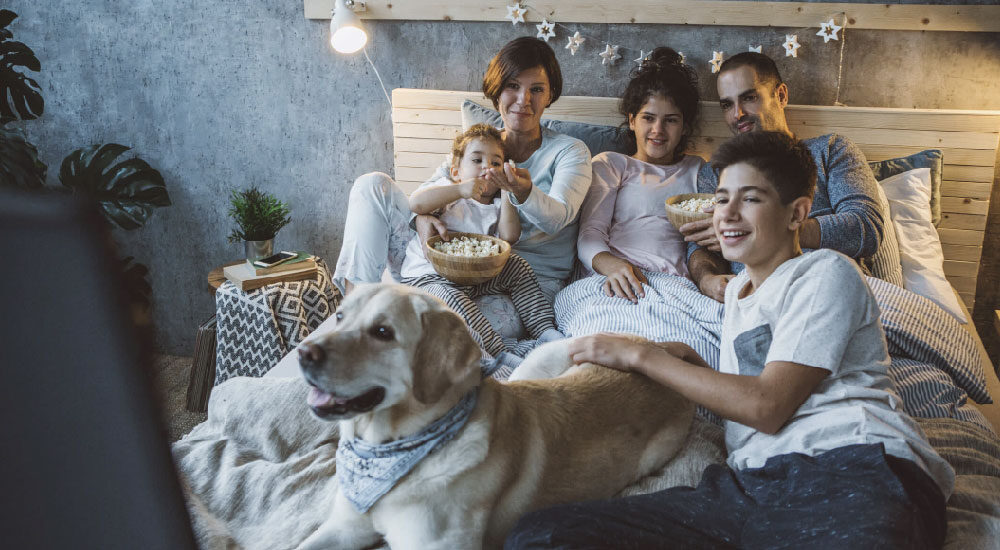 7 actividades en familia que puedes